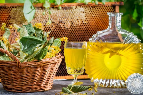 A basket with a lime tree stands next to a yellow drink