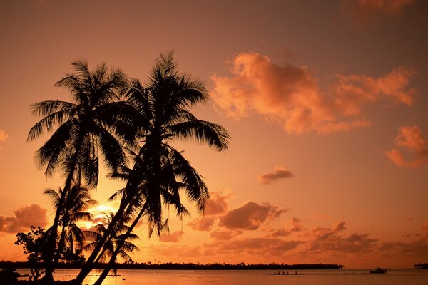 Puesta de sol roja sobre palmeras y agua