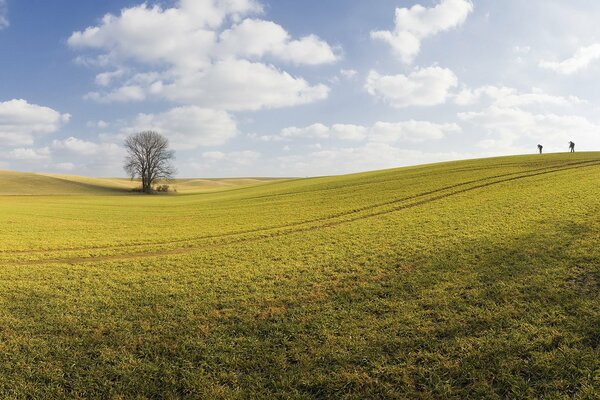 Paysage de printemps calme et paisible