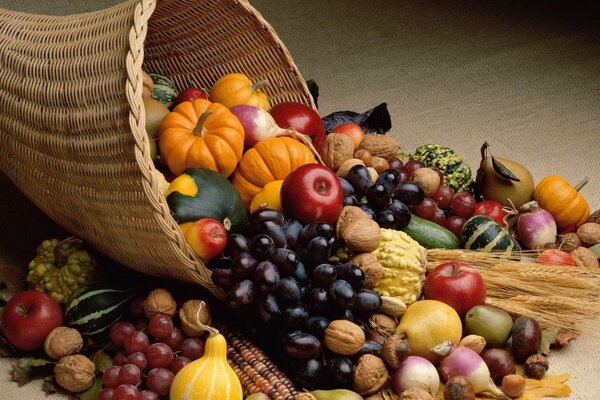 Verduras y frutas en la cesta