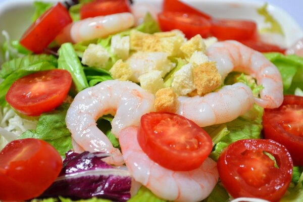 Summer salad with shrimp