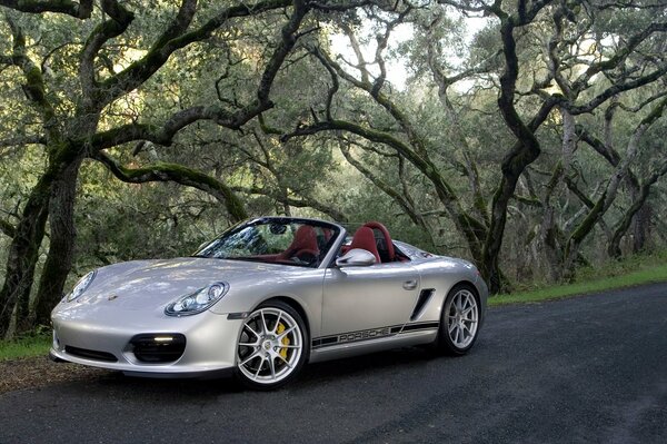 Silver Porsche on a background of trees