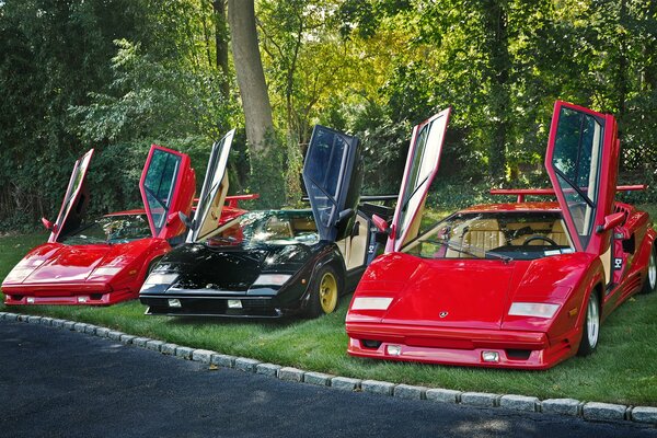 Trio de Lamborghini Countachs 5000 QV avec portes ouvertes