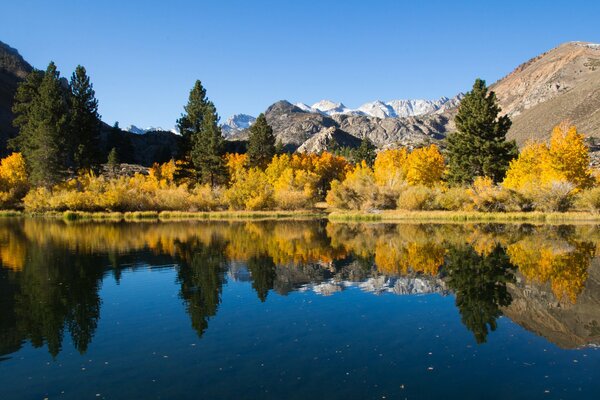 Reflejo en el lago del otoño dorado