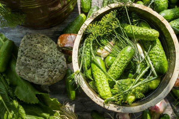 Pickled cucumbers with dill greens