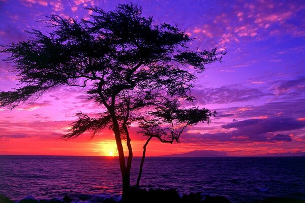 Der Sonnenuntergang auf Hawaii ist ein atemberaubender Anblick