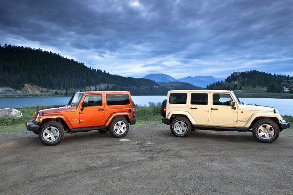 Deux jeeps sur fond de nature