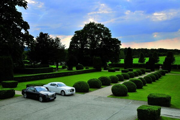 Schwarze und weiße Rolls Royces vor dem Hintergrund eines gepflegten Parks