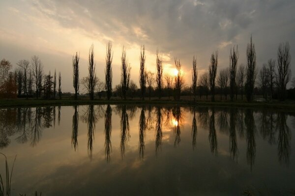 Ein Teich, in dem die Bäume und der Sonnenuntergang reflektiert werden