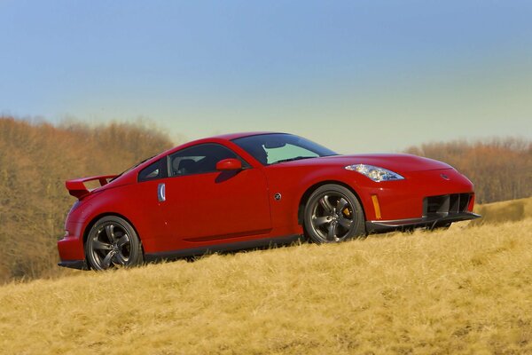 Red nissan on the background of yellowed grass