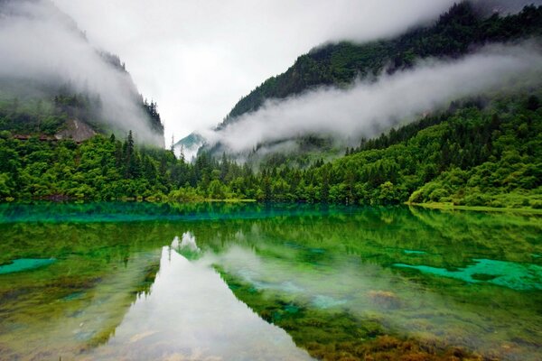 Cool lake in the mountains