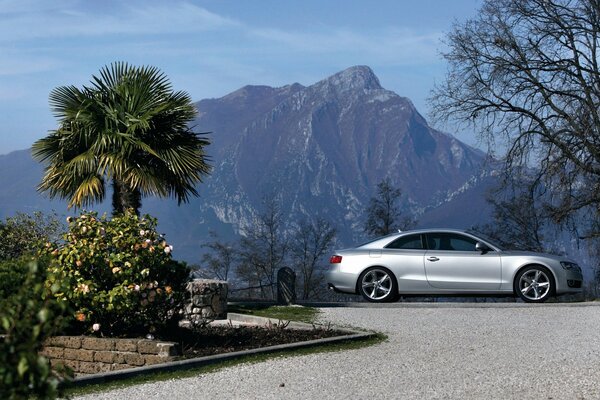 A gray Audi stands against the background of mountains