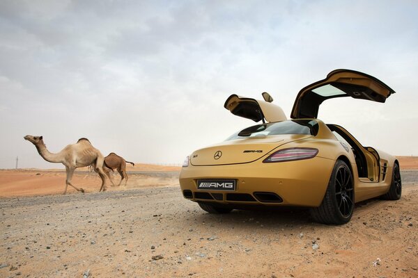 Mercedes Benz AMG in the desert with camels