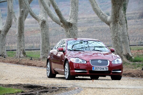 Image de voiture Jaguar Bordeaux