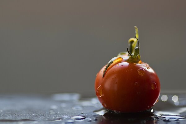 Rote Tomate auf einem nassen Tisch