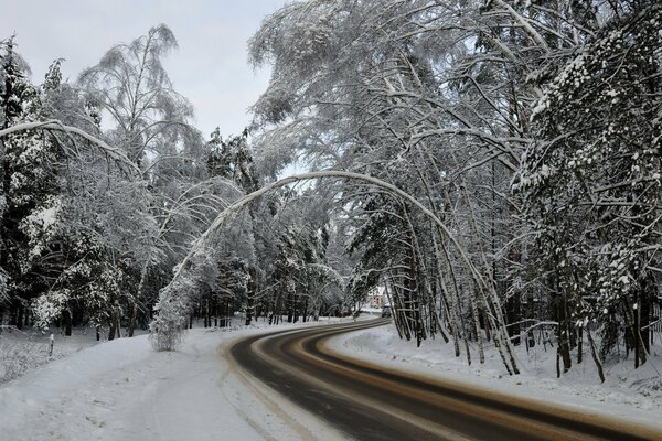 Winterstraße vor dem Hintergrund des Waldes