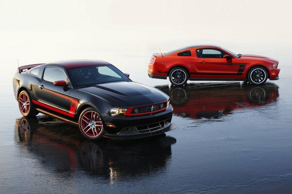 Ford e Mustang eleganti sull asfalto bagnato