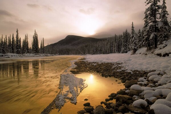 Rivière de montagne enneigée d hiver