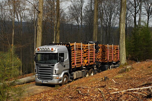 Scania R470 logging truck on a forest road