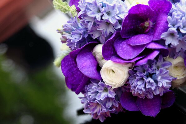 White bouquet orchid, Wanda, geacinth, ranunculus