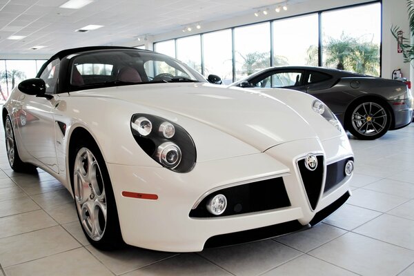 Acheter Alfa Romeo en blanc