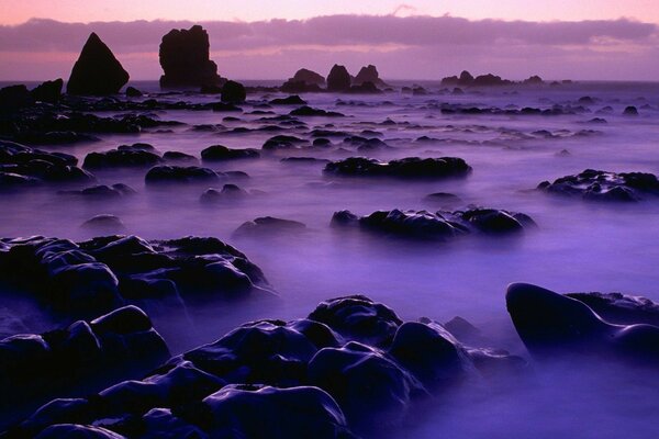 Costa rocosa en la niebla en los rayos rosados del atardecer