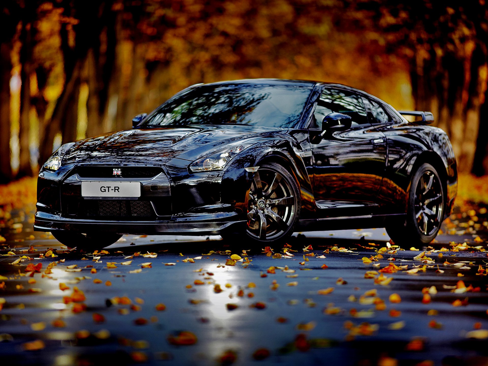 car autumn leave