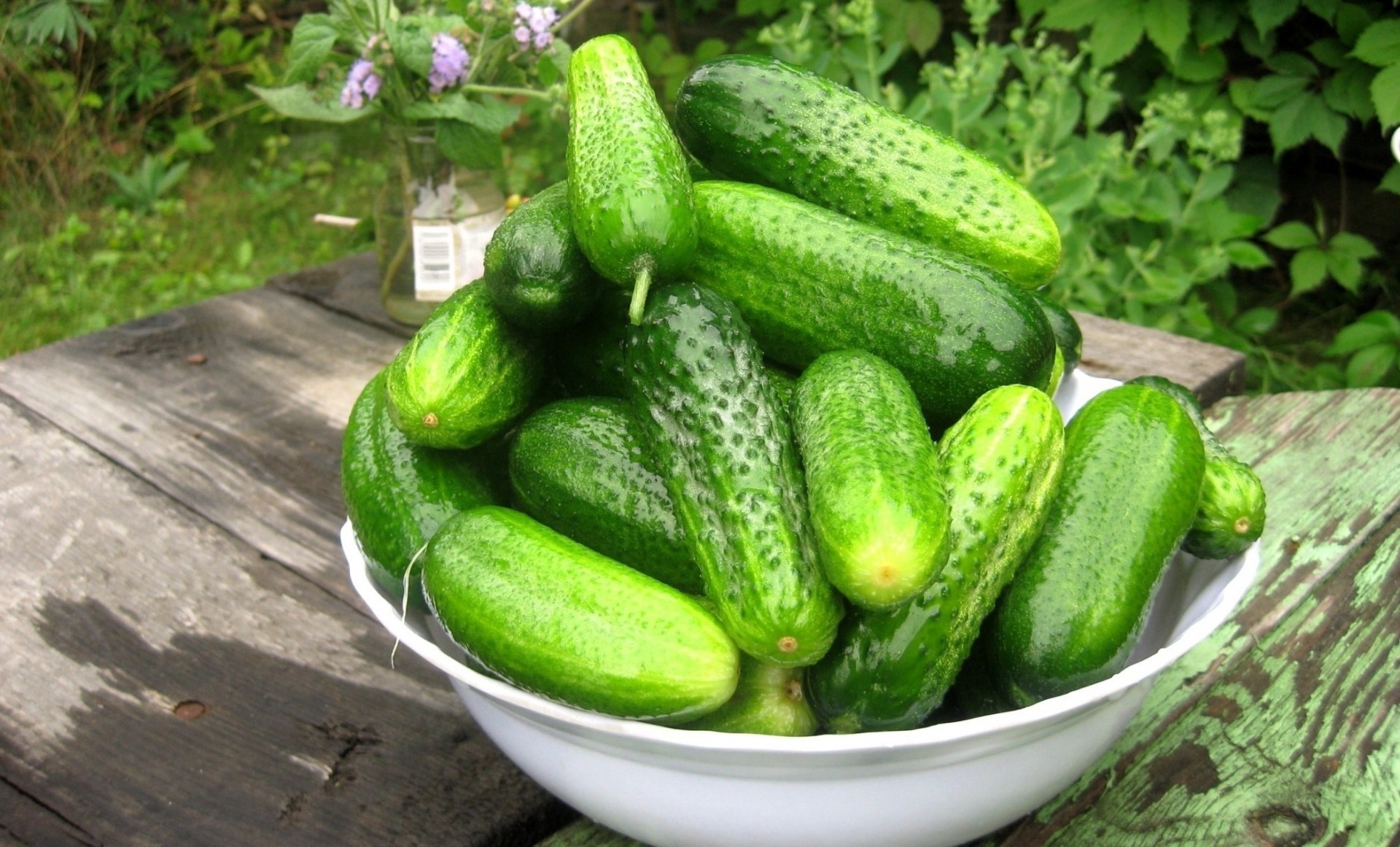 cucumber green food wallpaper vegetables cucumber