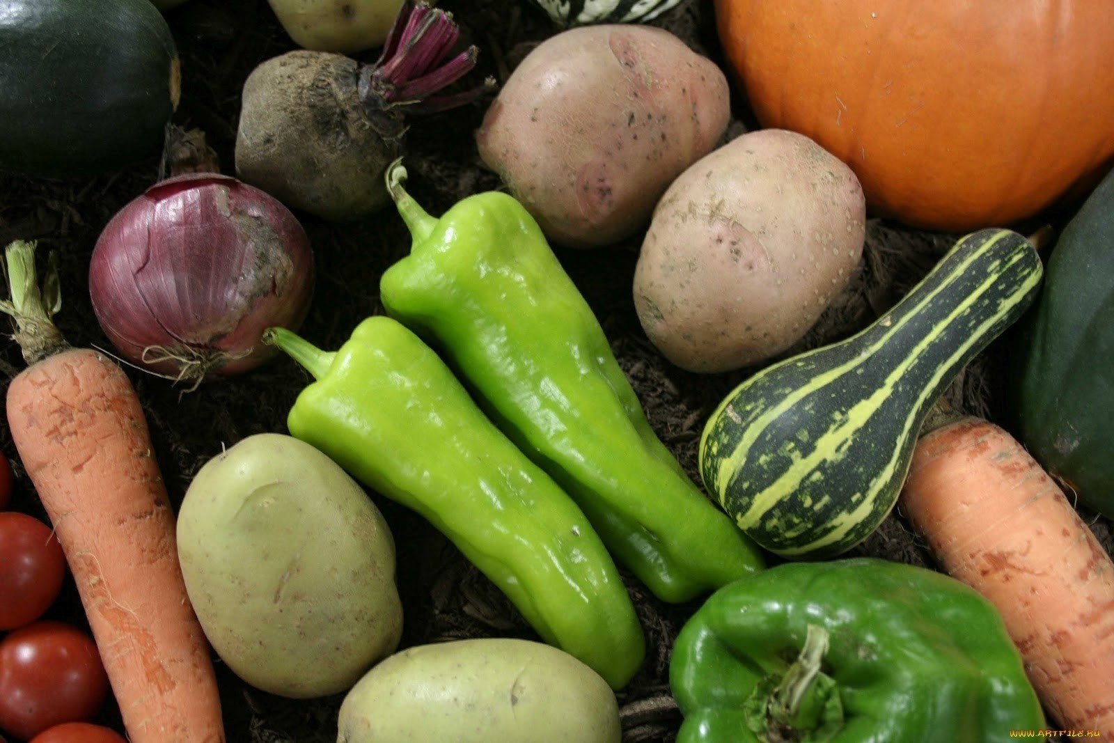 courgettes légumes tomates poivrons oignons pommes de terre