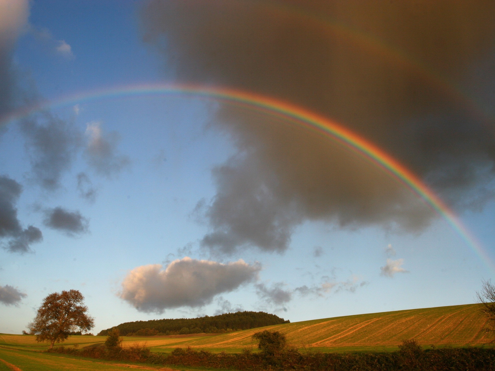 nuvole arcobaleno campo alberi