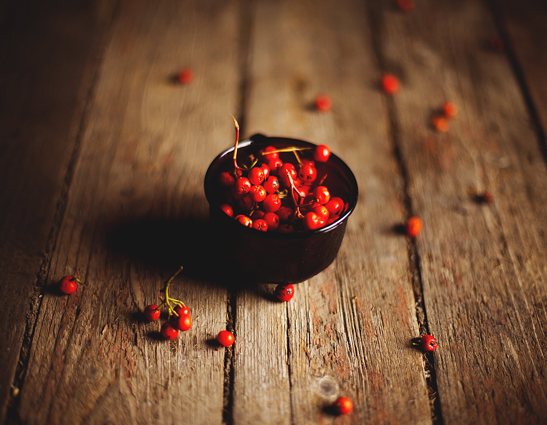 rowanberry tableros ceniza de montaña bayas