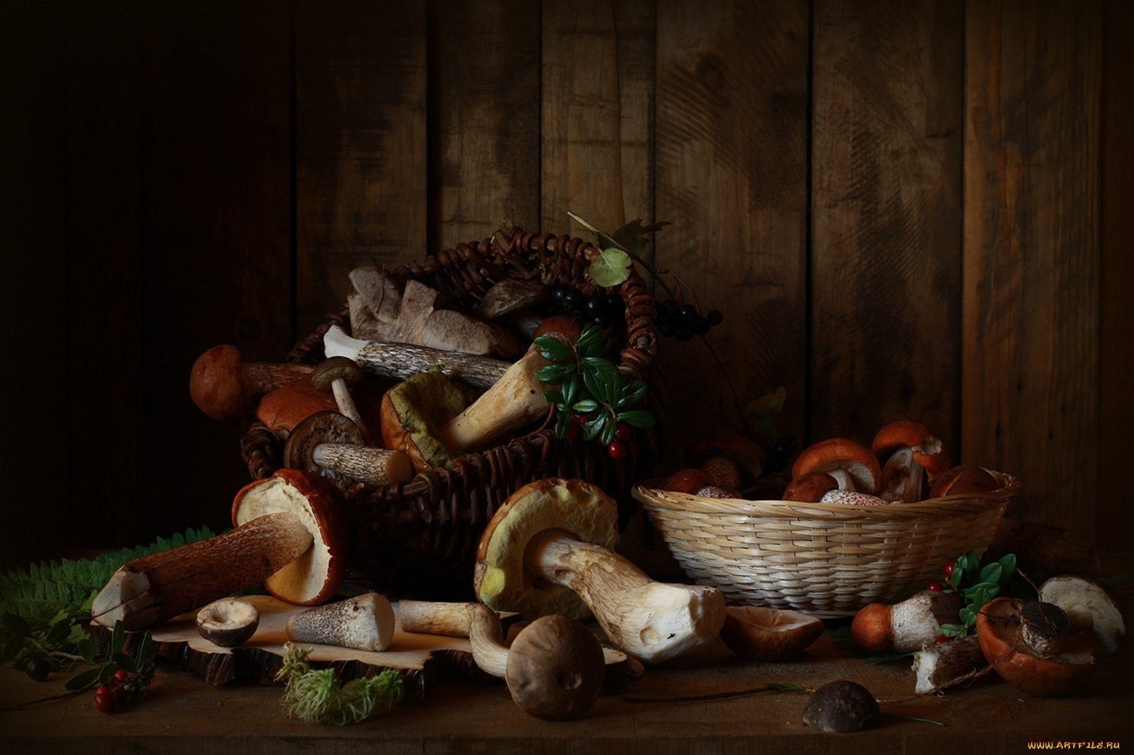 mushrooms basket