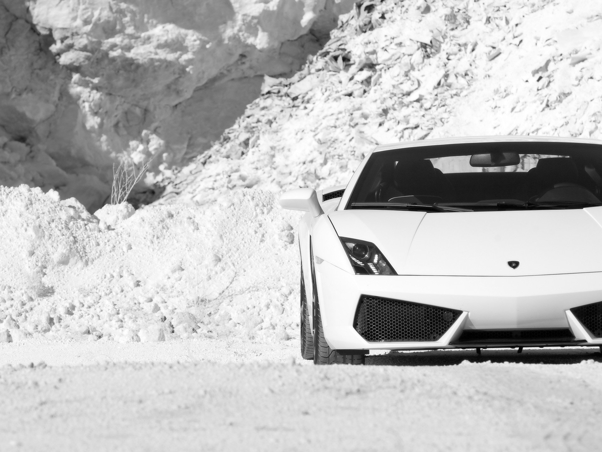 lamborghini invierno blanco