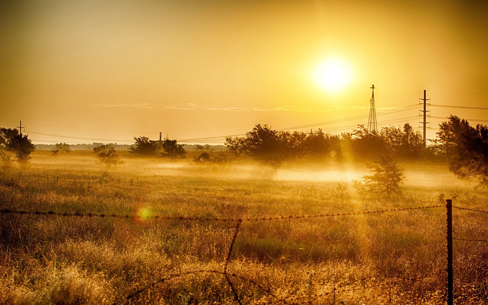 sonne feld bäume gras