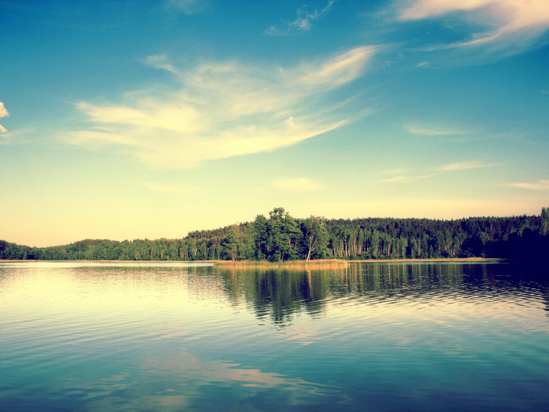 lake tree sky