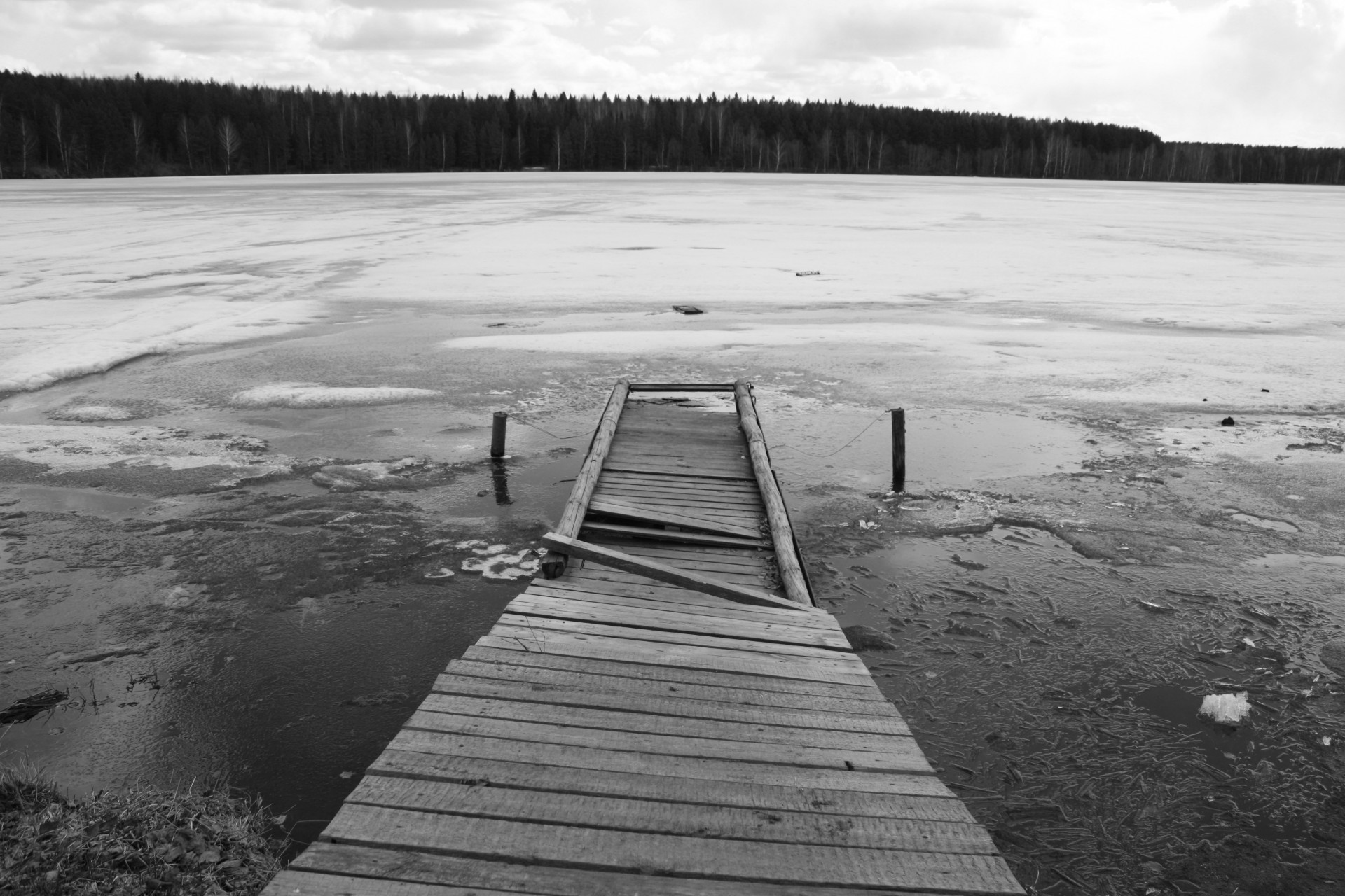 glace pont lac forêt noir et blanc