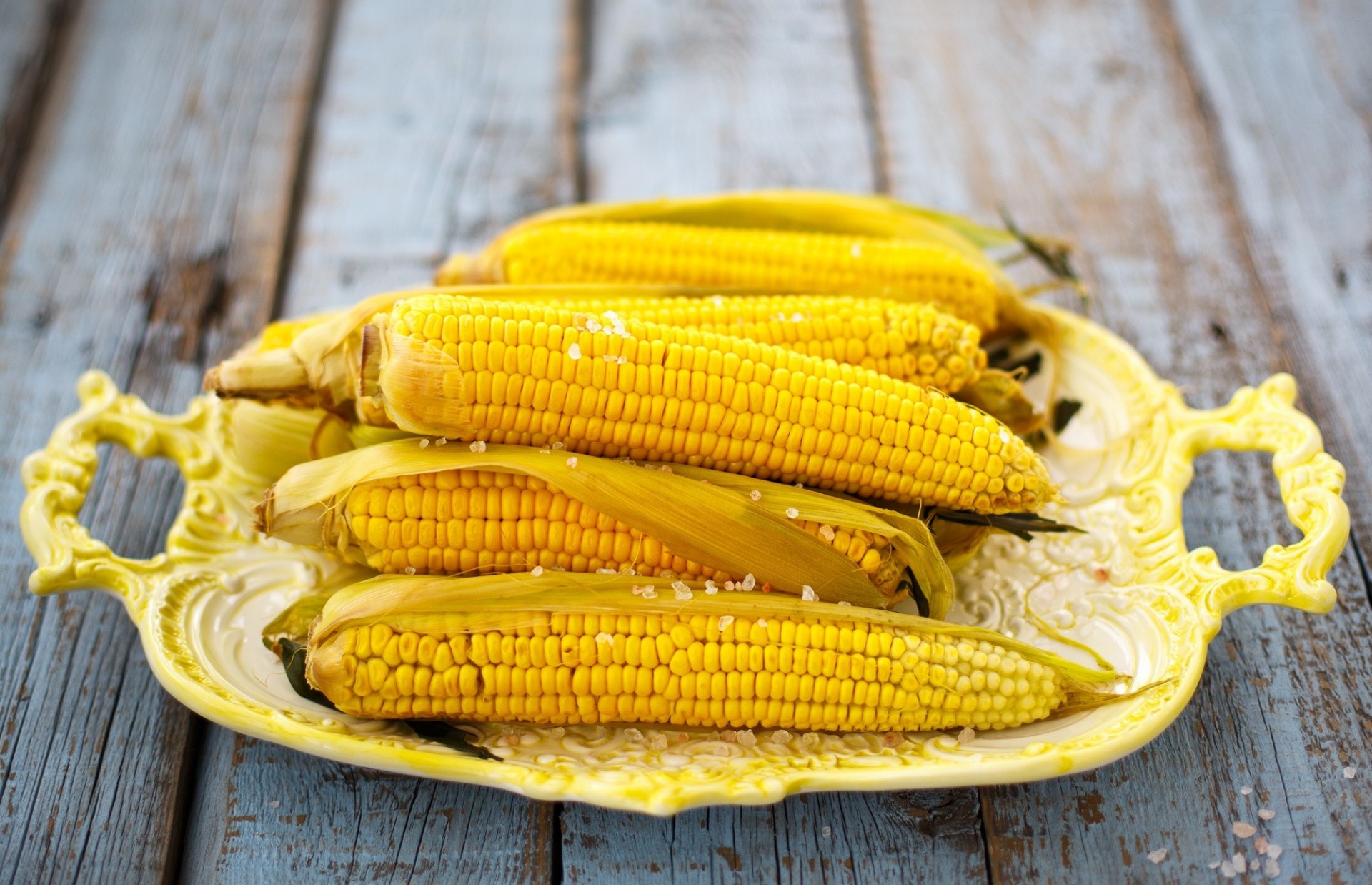 maíz cereales comida placa amarillo