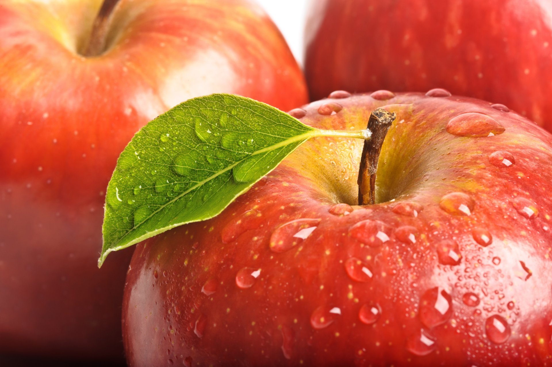 rouge pomme gouttes fruits feuille gros plan