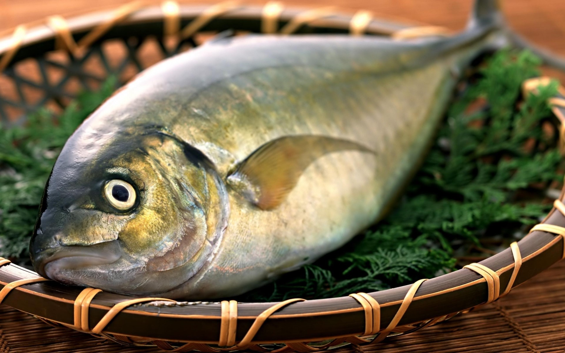 blatt fisch gras schild grüns