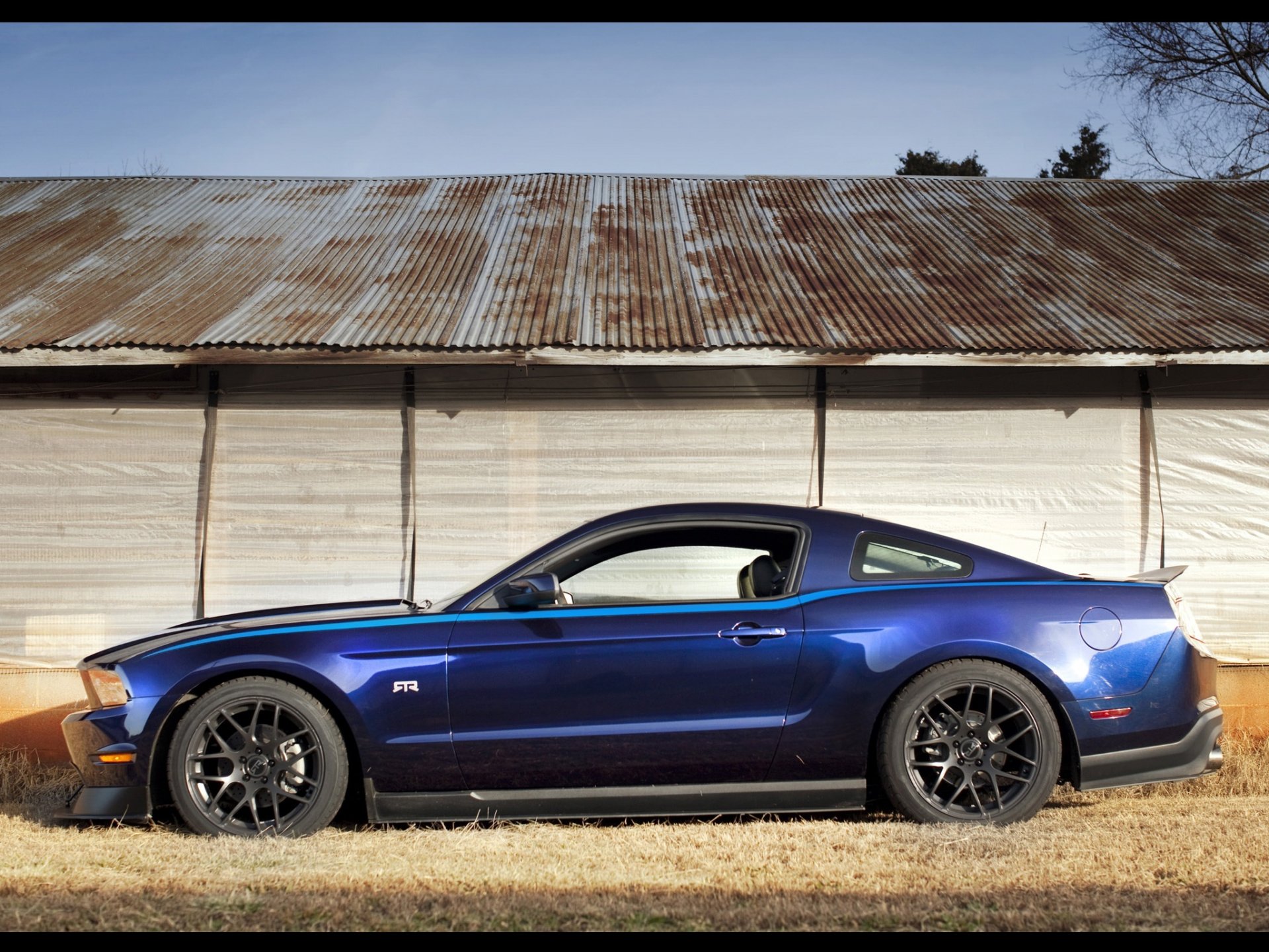 mustang rtr pakiet niebieski muscle