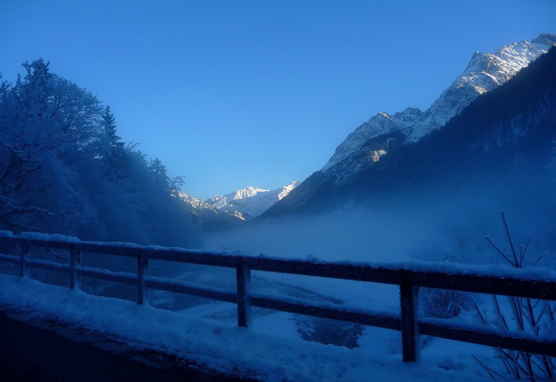 hiver neige brouillard givre montagnes arbres clôture brume