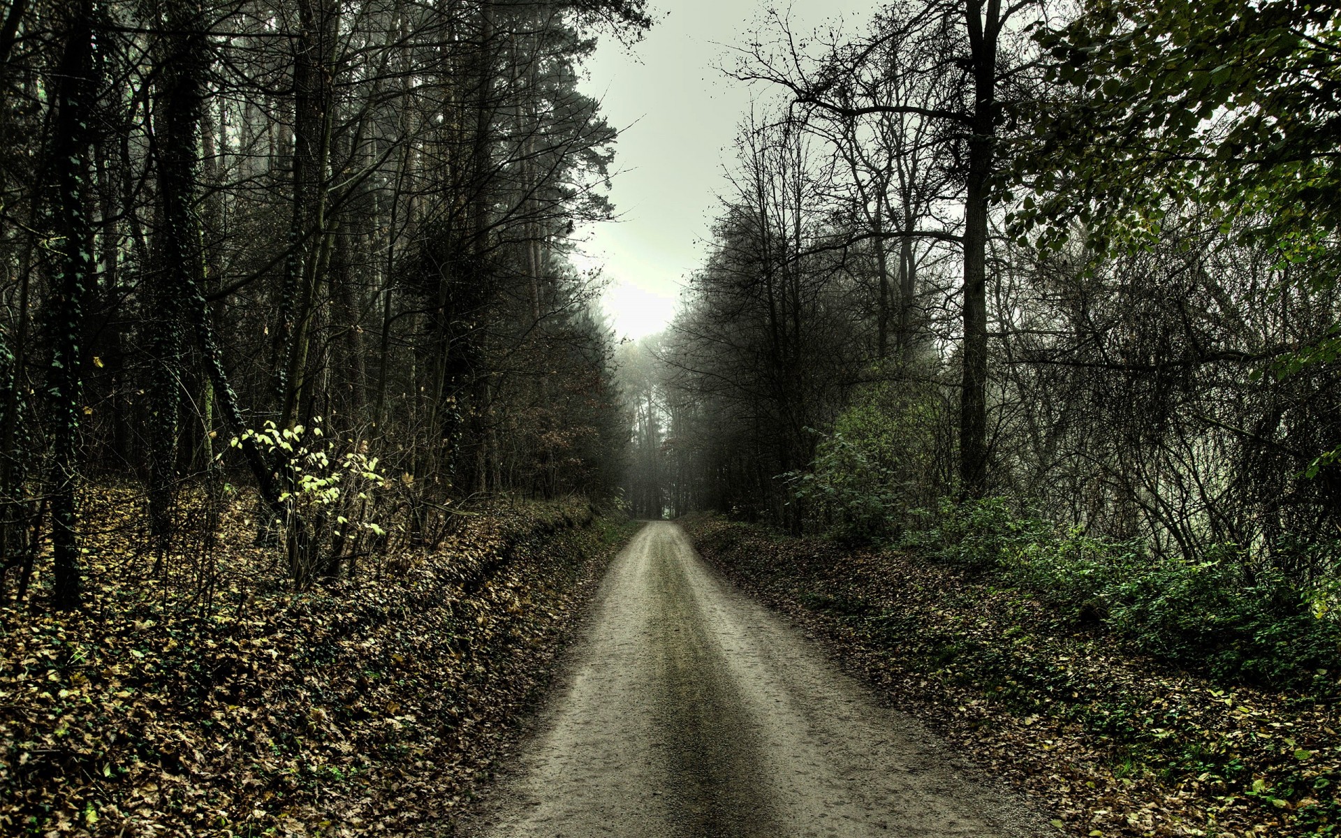 straße herbst traurigkeit