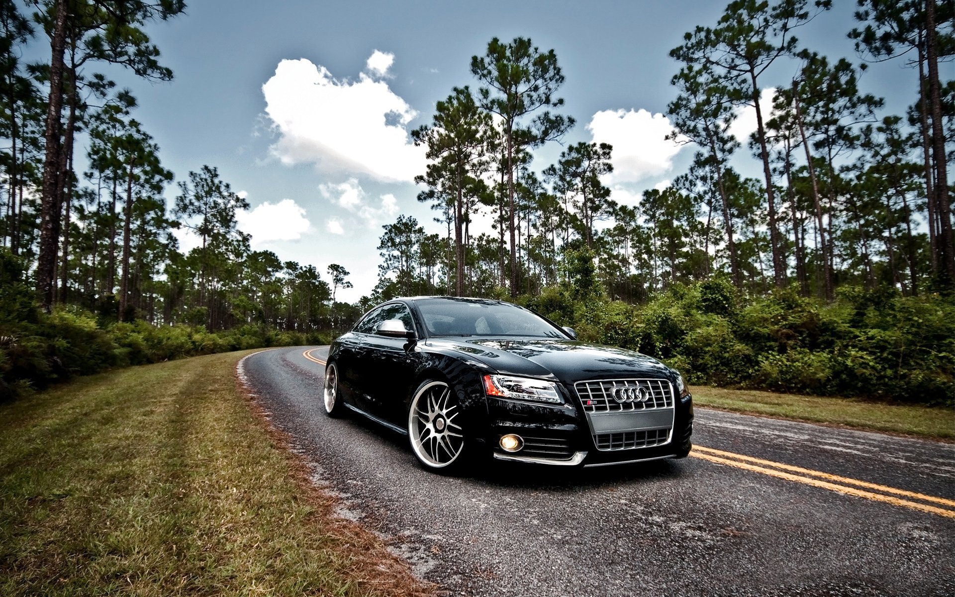 audi en la naturaleza