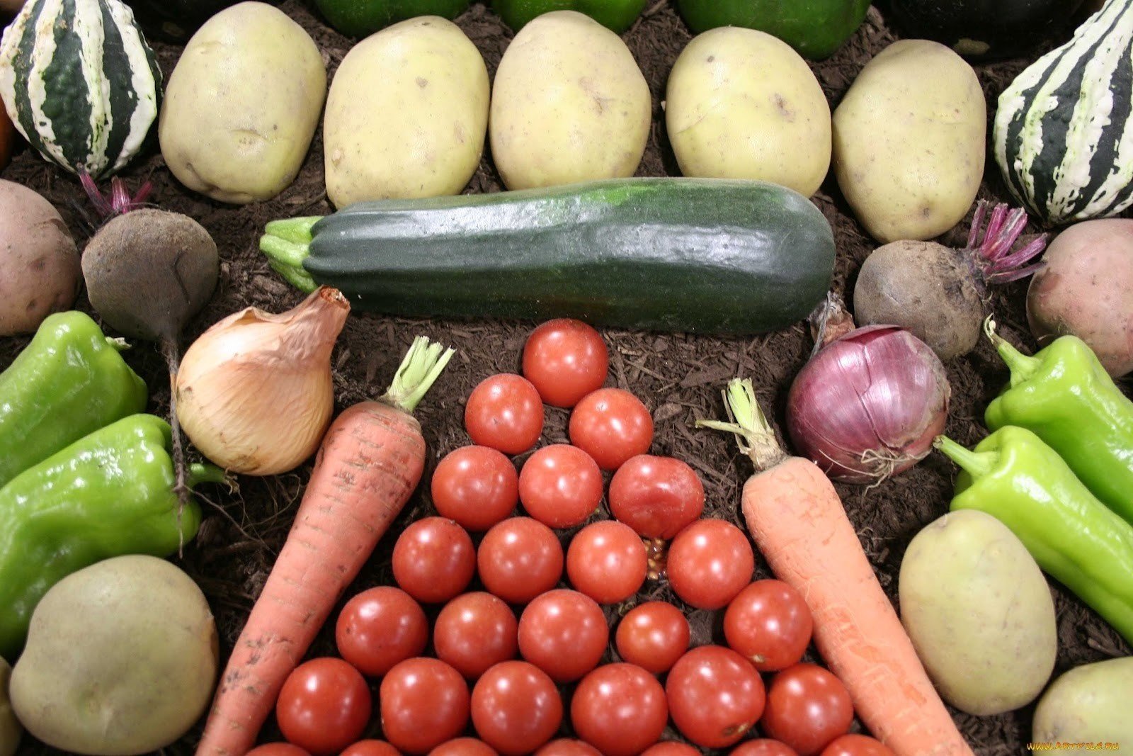 verduras tomates pimientos cebollas patatas