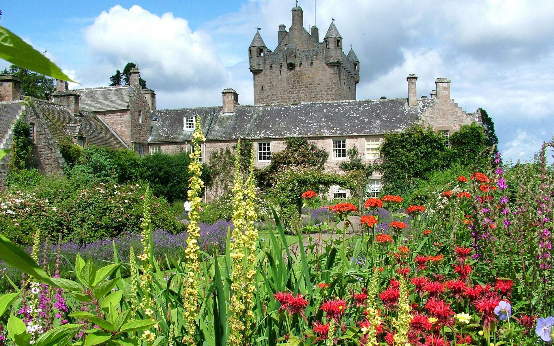 flowers the building castle the sky