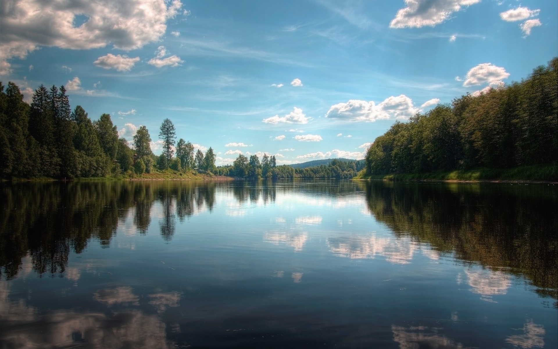 lake tree reflection