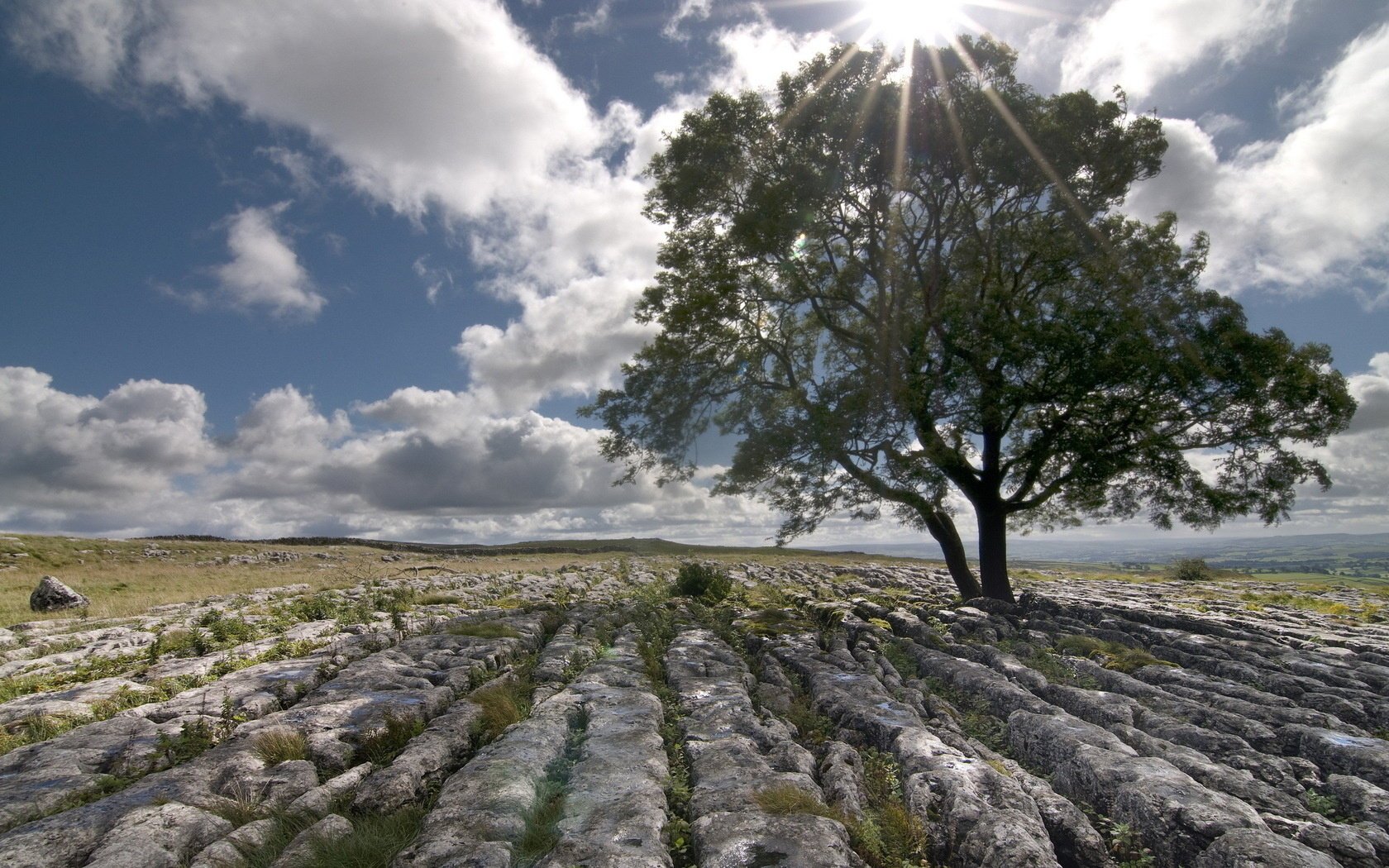 landschaft feld steine baum