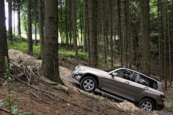 An SUV in the forest climbs uphill