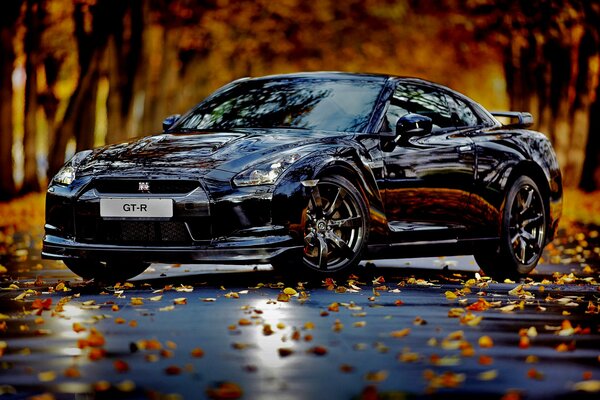 A black car stands in autumn around yellow trees