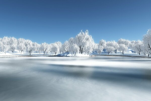 Bosque de invierno en la nieve en el río